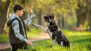 2001online - Venezuela- escuelas 2001online - Venezuela- escuelas