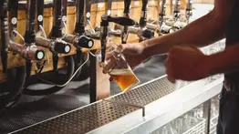 2001ONLINE - ESTADOS UNIDOS - CERVECERÍA