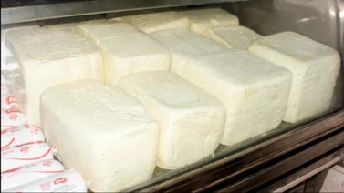 Precios del queso blanco en el Llano hoy 17 de junio: costos al mayor