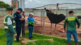 Rescatan más de 1000 animales silvestres en cautiverio: entre ellos un delfín en Falcón