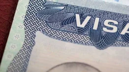 Diferencias clave en las hojas de visa americana: ¿Qué significa cada color?