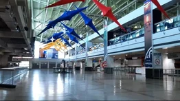 Esta línea aérea venezolana ofrece financiamiento directo para compra de boletos nacionales e internacionales: así funciona 