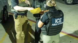 2001ONLINE - ESTADOS UNIDOS - ICE REDADAS APLICACIONES