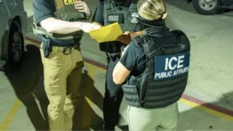2001ONLINE - ESTADOS UNIDOS - ICE REDADAS APLICACIONES