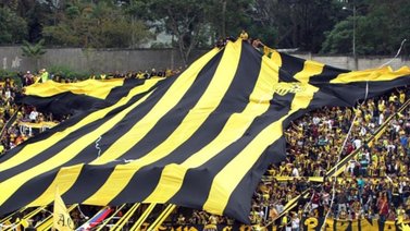 Confirmado: imputan a fanáticos del deportivo Táchira