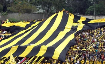 Confirmado: imputan a fanáticos del deportivo Táchira