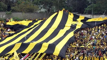 Confirmado: imputan a fanáticos del deportivo Táchira