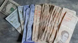 Pagos que recibirán adultos mayores en las próximas horas: sepa los montos