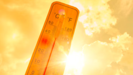 Ola calor Nueva York