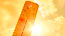 Ola calor Nueva York