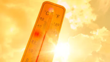 Ola calor Nueva York