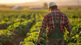 Oferta empleo agrícola Nebraska Visa h-2