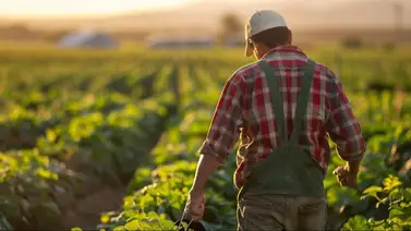Oferta empleo agrícola Nebraska Visa h-2 Oferta empleo agrícola Nebraska Visa h-2
