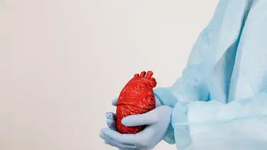 Limpia las arterias con este efectivo remedio casero a base de tres ingredientes súper económicos Limpia las arterias con este efectivo remedio casero a base de tres ingredientes súper económicos