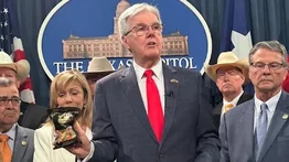 El proyecto de ley que prohibiría todos estos productos en Texas: el gobernador lo vetó