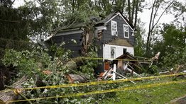 Dos hermanitas murieron en Nueva York aplastadas por un árbol: su madre devastada pidió ayuda en vano