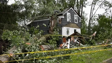 Dos hermanitas murieron en Nueva York aplastadas por un árbol: su madre devastada pidió ayuda en vano