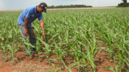 Fedeagro descarta desabastecimiento de hortalizas por las lluvias: ¿Qué pasará con los "gochitos"?