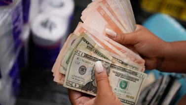 Bono Único Familiar: cómo registrarse en Patria para cobrar el subsidio que pagan la primera semana de julio