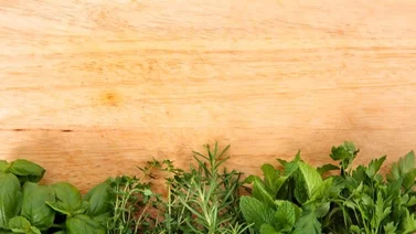 Esta hierba está en el top entre los productos naturales para desinflamar: la recomienda National Institutes of Health