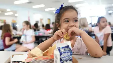 comedores-verano-gratis-nueva-york  comedores-verano-gratis-nueva-york