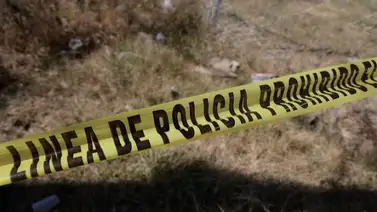 Hallan dos cadáveres en zona boscosa: tenían signos de múltiples disparos Hallan dos cadáveres en zona boscosa: tenían signos de múltiples disparos