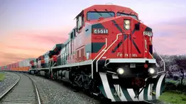 Transporte: anuncian activación de tren de carga desde Carabobo hasta Portuguesa