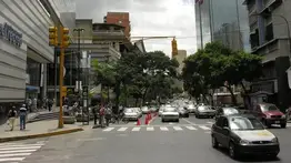 Árbol cae sobre varios vehículos en la avenida Casanova tras fuertes lluvias: no se reportan heridos
