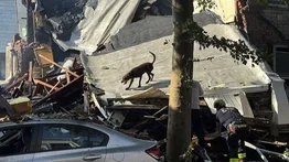 Al menos un muerto y dos heridos tras explosión en un vecindario de Filadelfia: varias casas quedaron destruidas