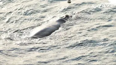 hundimiento florida costas lluvias tormenta hundimiento florida costas lluvias tormenta