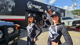 Monkey Garage - carros
