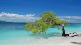 Estos son los full days que puedes pagar a crédito con Cashea: incluye viajes a Morrocoy, La Ciénaga y más