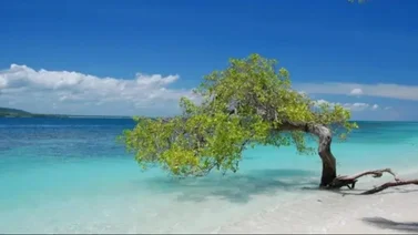Estos son los full days que puedes pagar a crédito con Cashea: incluye viajes a Morrocoy, La Ciénaga y más
