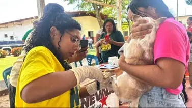 Misión Nevado anuncia jornada de esterilización a bajo costo en Caracas: sepa dónde Misión Nevado anuncia jornada de esterilización a bajo costo en Caracas: sepa dónde