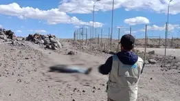 Hallan sin vida a venezolano en paso fronterizo: revelan posibles causas de su muerte