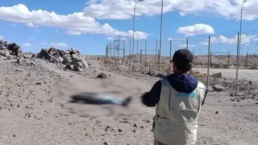 Hallan sin vida a venezolano en paso fronterizo: revelan posibles causas de su muerte Hallan sin vida a venezolano en paso fronterizo: revelan posibles causas de su muerte