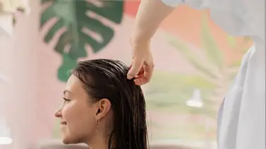 Controla el frizz con este tratamiento casero a base de aloe vera: así debes aplicarlo para aprovechar su efecto Controla el frizz con este tratamiento casero a base de aloe vera: así debes aplicarlo para aprovechar su efecto
