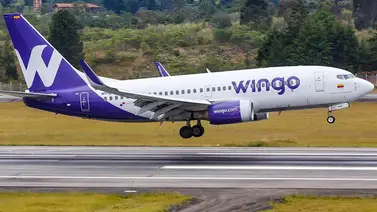 Wingo activa nueva ruta ruta entre Bogotá y Porlamar: precios y horarios Wingo activa nueva ruta ruta entre Bogotá y Porlamar: precios y horarios