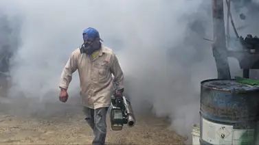 Desmalezamiento, bacheo y fumigación: lanzan atención integral a zonas rurales de El Hatillo Desmalezamiento, bacheo y fumigación: lanzan atención integral a zonas rurales de El Hatillo