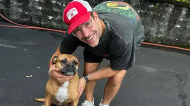 Ingeniero de New York gana $ 6.000 mensuales extras paseando perros Ingeniero de New York gana $ 6.000 mensuales extras paseando perros