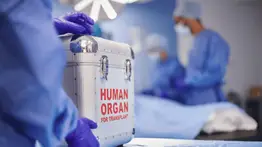 Donar en consanguinidad: así se estructura el proceso de trasplantes en Venezuela 