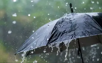 Inameh reporta ingreso al país de la onda tropical Nro. 10: genera lluvias en gran parte del territorio nacional