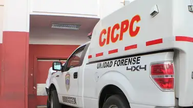 Revelan causa preliminar del incendio donde murieron una joven y dos caballos en Táchira Revelan causa preliminar del incendio donde murieron una joven y dos caballos en Táchira