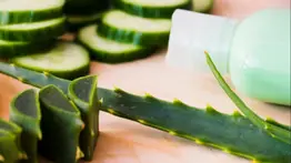 Conoce cuáles son los beneficios del aloe vera para la piel: aprende a aplicarlo para aprovechar su efecto