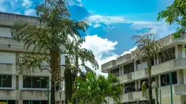 Ministerio de Educación Universitaria: CNU evaluará sanciones a la UBA y mecanismos para validar títulos de estudiantes