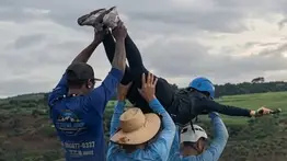 En video: Lanzaron a una mujer sin cuerdas cuando practicaba bunguee jumping