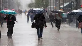 Reporte Inameh: onda tropical 14 causará lluvias en diez estados del país este domingo