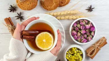 Descubre cuáles son los beneficios que aporta la infusión de hinojo para el estómago: esta es la cantidad que debes ingerir al día Descubre cuáles son los beneficios que aporta la infusión de hinojo para el estómago: esta es la cantidad que debes ingerir al día