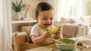 El aguacate en la mesa de los más pequeños: opción perfecta para iniciar la alimentación de tu bebé El aguacate en la mesa de los más pequeños: opción perfecta para iniciar la alimentación de tu bebé