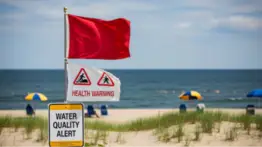 ¿Vas a Nueva Jersey en verano?: hay alerta sanitaria en estos balnearios